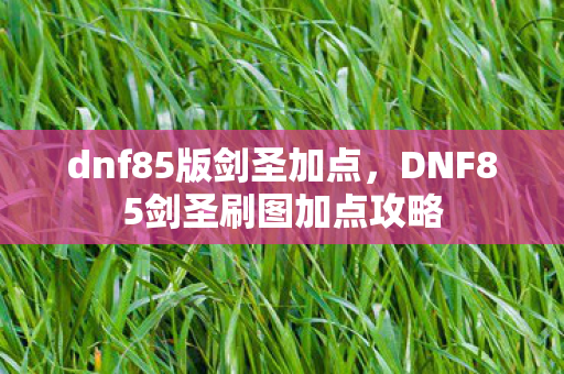 dnf85版剑圣加点，DNF85剑圣刷图加点攻略