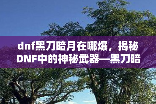 dnf黑刀暗月在哪爆，揭秘DNF中的神秘武器—黑刀暗月，究竟哪里能爆到？