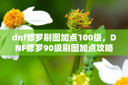 dnf修罗刷图加点100级，DNF修罗90级刷图加点攻略