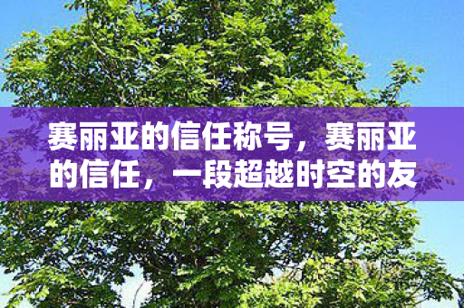 赛丽亚的信任称号，赛丽亚的信任，一段超越时空的友谊之旅