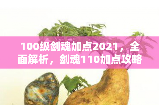 100级剑魂加点2021，全面解析，剑魂110加点攻略与技巧