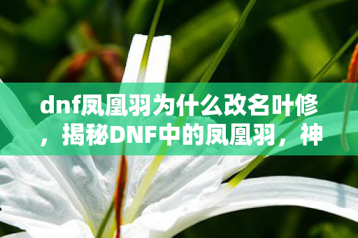 dnf凤凰羽为什么改名叶修，揭秘DNF中的凤凰羽，神秘装备背后的故事与攻略
