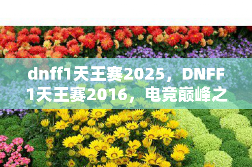 dnff1天王赛2025，DNFF1天王赛2016，电竞巅峰之战的热血瞬间