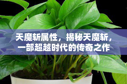 天魔斩属性，揭秘天魔斩，一部超越时代的传奇之作
