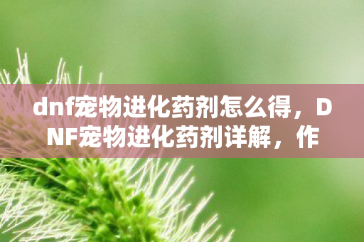 dnf宠物进化药剂怎么得，DNF宠物进化药剂详解，作用、获取与应用策略