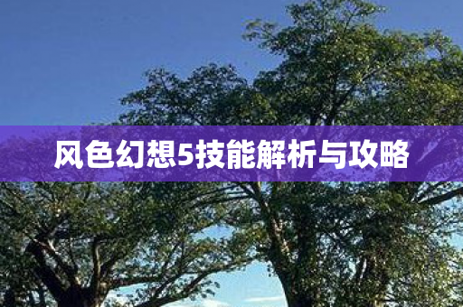 风色幻想5技能解析与攻略