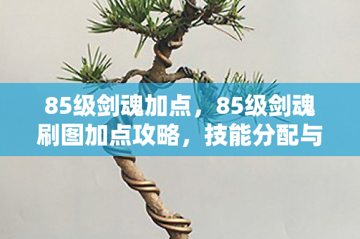 85级剑魂加点，85级剑魂刷图加点攻略，技能分配与强化建议