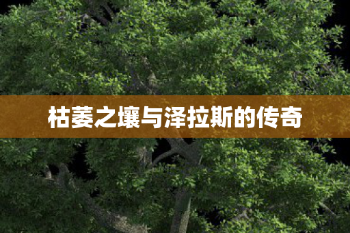 枯萎之壤与泽拉斯的传奇