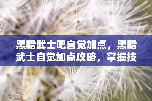 黑暗武士吧自觉加点，黑暗武士自觉加点攻略，掌握技能，征战沙场！
