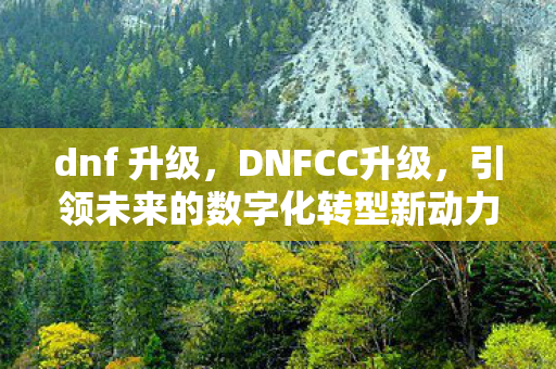 dnf 升级，DNFCC升级，引领未来的数字化转型新动力