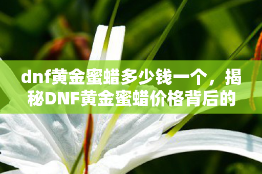 dnf黄金蜜蜡多少钱一个，揭秘DNF黄金蜜蜡价格背后的真相