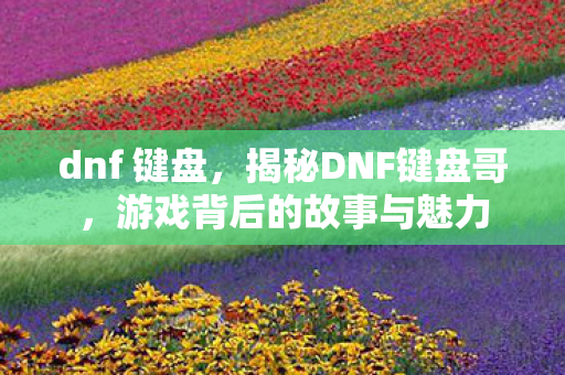 dnf 键盘，揭秘DNF键盘哥，游戏背后的故事与魅力