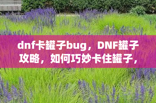 dnf卡罐子bug，DNF罐子攻略，如何巧妙卡住罐子，轻松获取心仪物品？