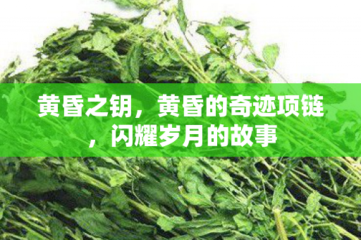 黄昏之钥，黄昏的奇迹项链，闪耀岁月的故事