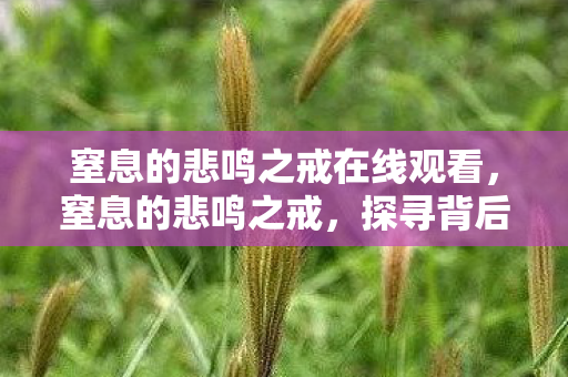 窒息的悲鸣之戒在线观看，窒息的悲鸣之戒，探寻背后不为人知的秘密