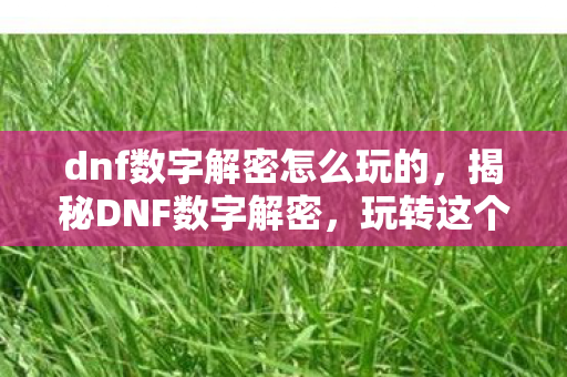 dnf数字解密怎么玩的，揭秘DNF数字解密，玩转这个神秘的游戏模式