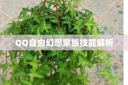 QQ自由幻想家族技能解析
