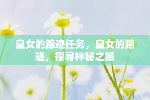 皇女的踪迹任务，皇女的踪迹，探寻神秘之旅