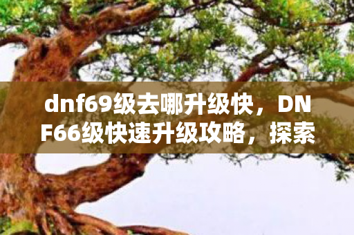 dnf69级去哪升级快，DNF66级快速升级攻略，探索最佳升级地点