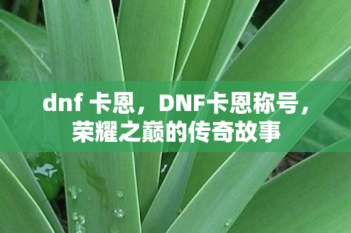 dnf 卡恩，DNF卡恩称号，荣耀之巅的传奇故事