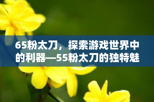 65粉太刀，探索游戏世界中的利器—55粉太刀的独特魅力