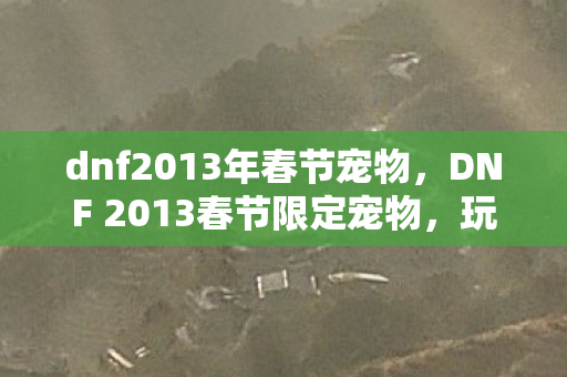 dnf2013年春节宠物，DNF 2013春节限定宠物，玩家的新伙伴，游戏中的得力助手
