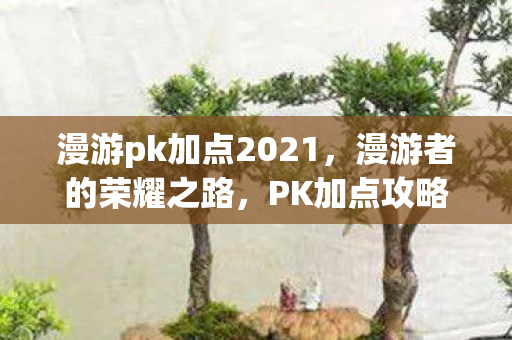 漫游pk加点2021，漫游者的荣耀之路，PK加点攻略与心得分享