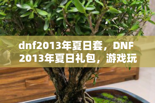dnf2013年夏日套，DNF 2013年夏日礼包，游戏玩家的狂欢盛宴