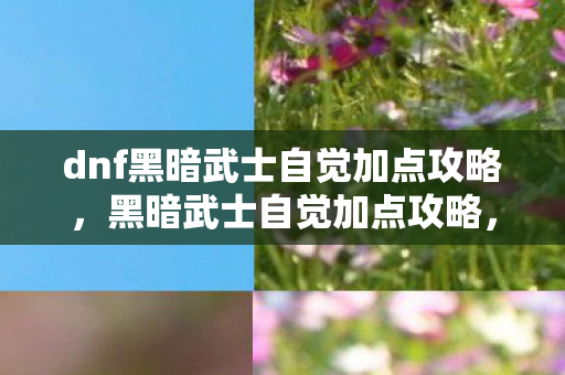 dnf黑暗武士自觉加点攻略，黑暗武士自觉加点攻略，掌握技能，提升战斗力