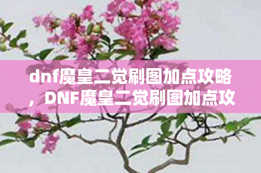 dnf魔皇二觉刷图加点攻略，DNF魔皇二觉刷图加点攻略，掌握核心技能，轻松提升战斗力