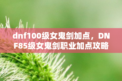 dnf100级女鬼剑加点，DNF85级女鬼剑职业加点攻略与解析