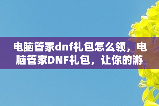 电脑管家dnf礼包怎么领，电脑管家DNF礼包，让你的游戏之旅更加畅快！