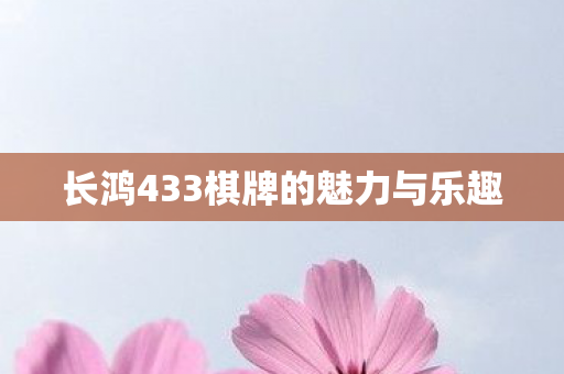 长鸿433棋牌的魅力与乐趣