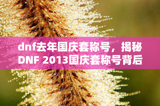 dnf去年国庆套称号，揭秘DNF 2013国庆套称号背后的故事与意义