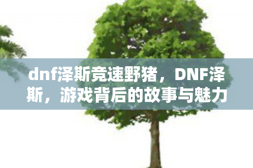dnf泽斯竞速野猪，DNF泽斯，游戏背后的故事与魅力所在