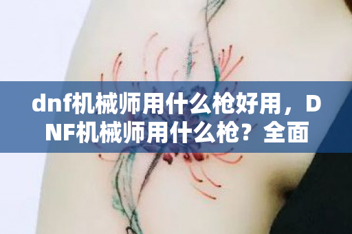 dnf机械师用什么枪好用，DNF机械师用什么枪？全面解析机械师的枪械选择