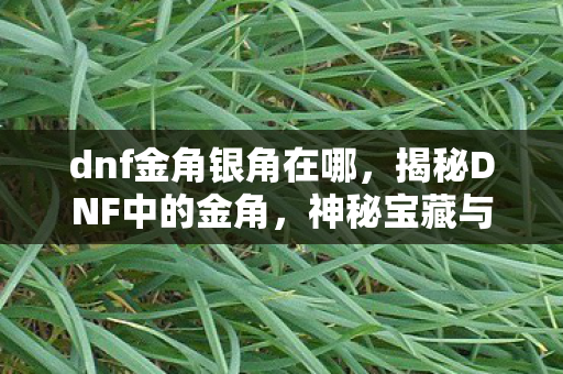 dnf金角银角在哪，揭秘DNF中的金角，神秘宝藏与冒险之旅的交汇点