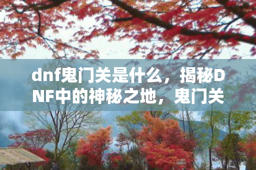 dnf鬼门关是什么，揭秘DNF中的神秘之地，鬼门关