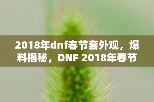 2018年dnf春节套外观，爆料揭秘，DNF 2018年春节套，全新装备与福利大放送！