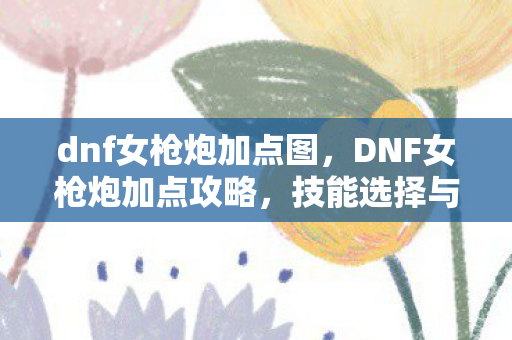 dnf女枪炮加点图，DNF女枪炮加点攻略，技能选择与配置详解