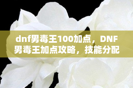 dnf男毒王100加点，DNF男毒王加点攻略，技能分配与强化策略