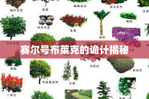 赛尔号布莱克的诡计揭秘