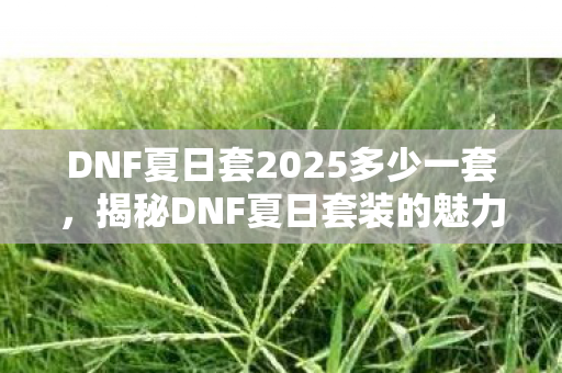 DNF夏日套2025多少一套，揭秘DNF夏日套装的魅力，2015年的夏日狂欢盛宴