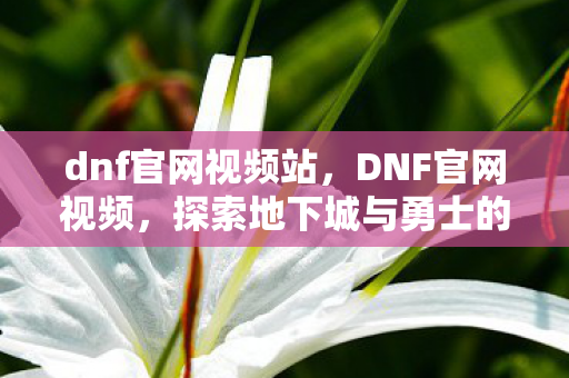 dnf官网视频站，DNF官网视频，探索地下城与勇士的世界