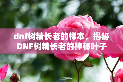 dnf树精长老的样本，揭秘DNF树精长老的神秘叶子