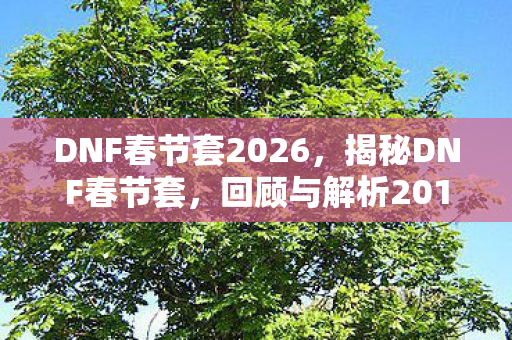 DNF春节套2026，揭秘DNF春节套，回顾与解析2017年版本特色