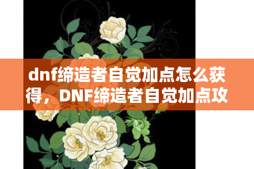 dnf缔造者自觉加点怎么获得，DNF缔造者自觉加点攻略，掌握核心技能，轻松提升战斗力