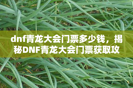 dnf青龙大会门票多少钱，揭秘DNF青龙大会门票获取攻略与背后故事