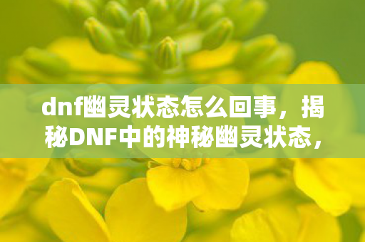 dnf幽灵状态怎么回事，揭秘DNF中的神秘幽灵状态，隐藏的真相与应对之策