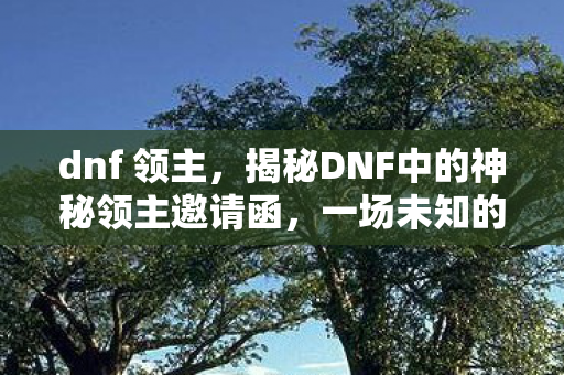 dnf 领主，揭秘DNF中的神秘领主邀请函，一场未知的冒险之旅